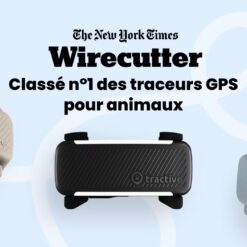 Traceur GPS Tractive Dog 6 pour chien