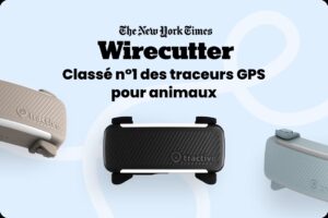 Traceur GPS Tractive Dog 6 pour chien