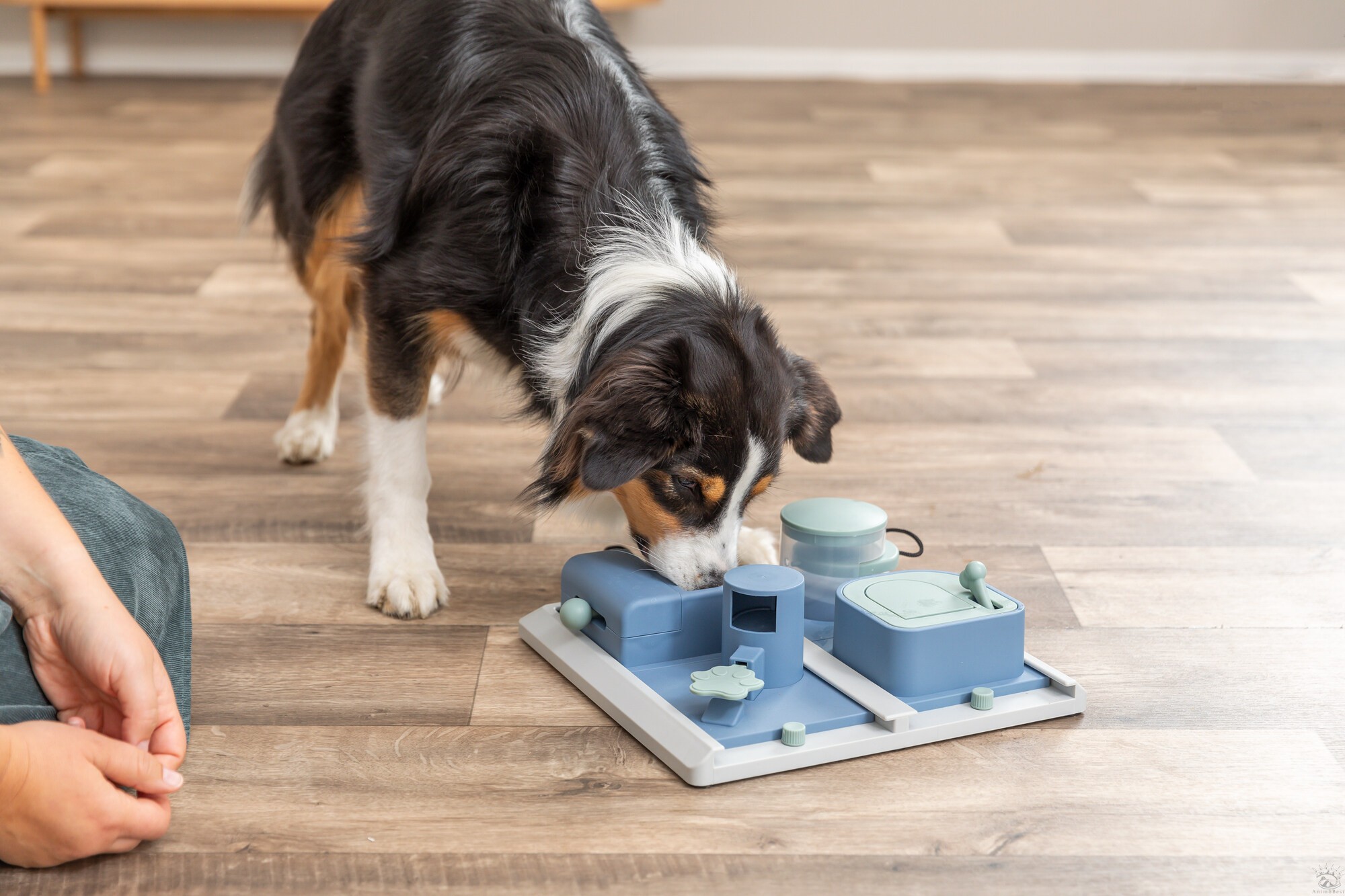 Dog Activity Poker Box 2, 31×10×31cm – Image 10