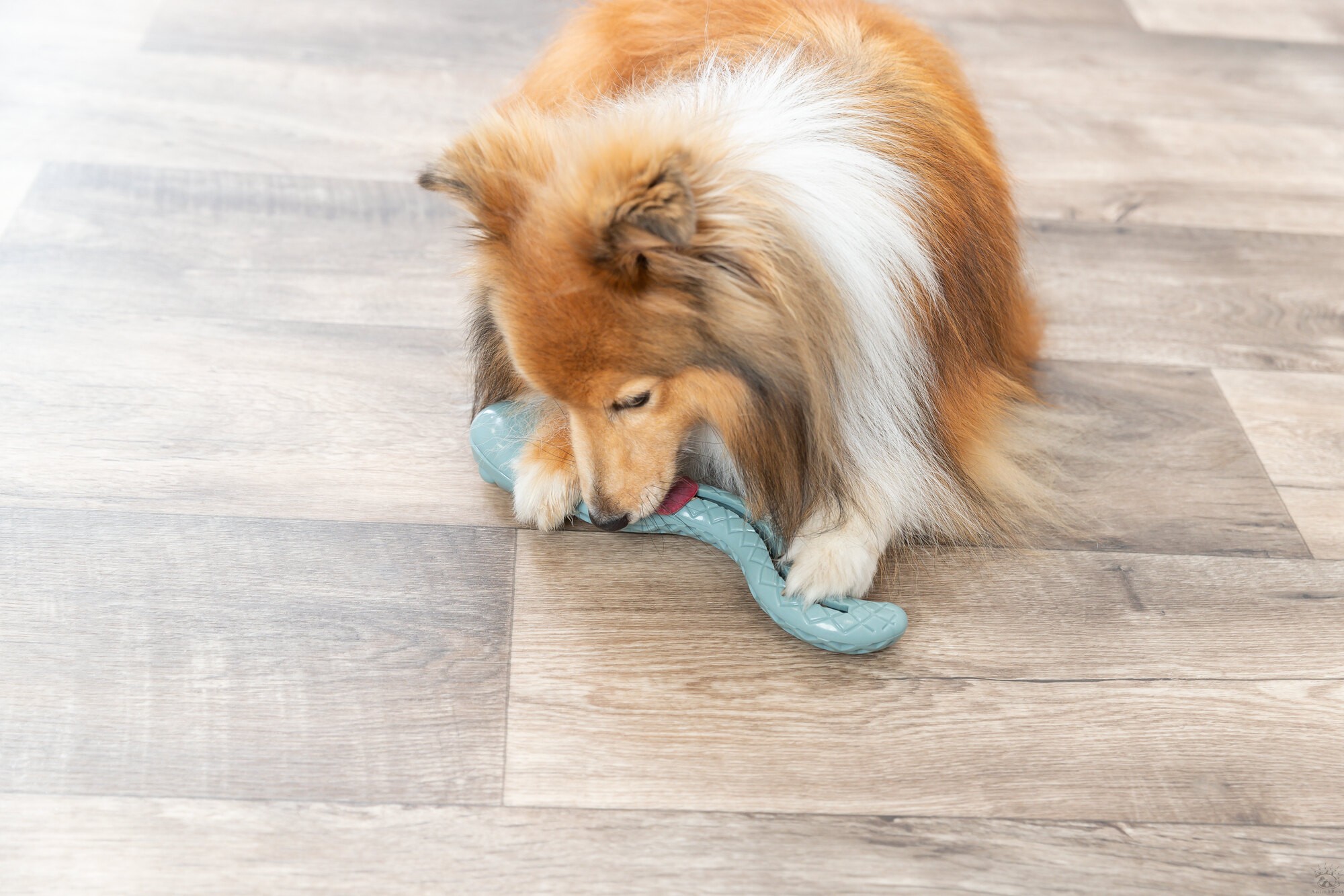 Snack-Snake Trixie 27cm – Image 6