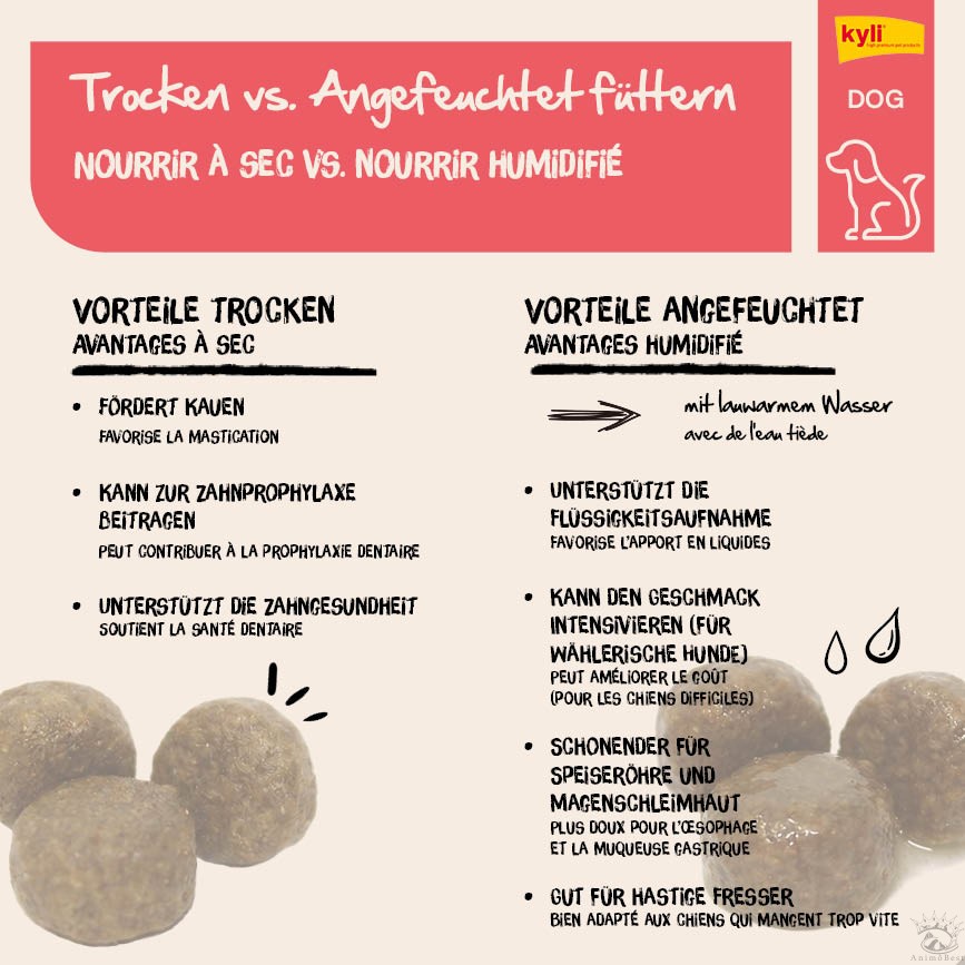 kyli FreshNature N° 2 Junior Poulet & Riz 12 kg – Image 8