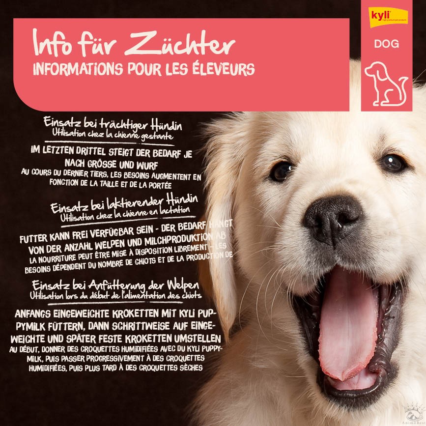 kyli FreshNature N° 2 Junior Poulet & Riz 12 kg – Image 9