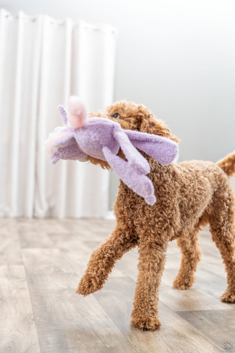 Licorne, peluche, recyclée 33cm – Image 3