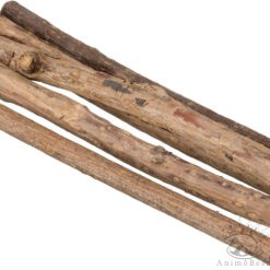 Sticks à mâcher Matatabi, 10g