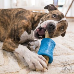 West Paw FUNNL™ : Jouet Distributeur de Friandises Durable pour Chien – Image 3