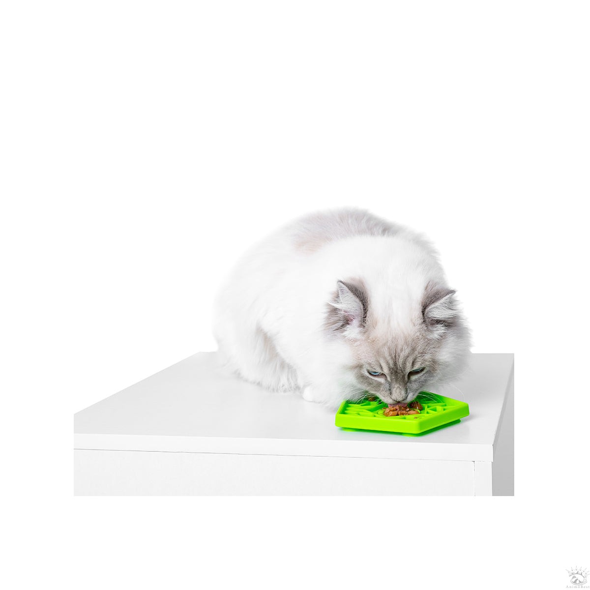 KIWI tapis à lécher PENTA MINI – Image 4