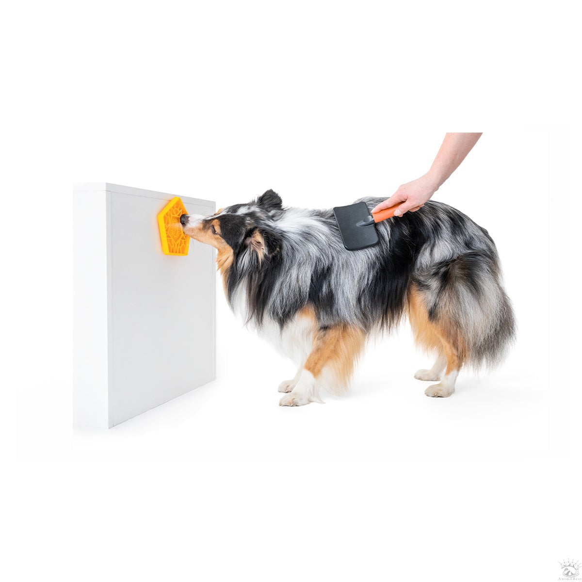KIWI tapis à lécher PENTA MINI – Image 3