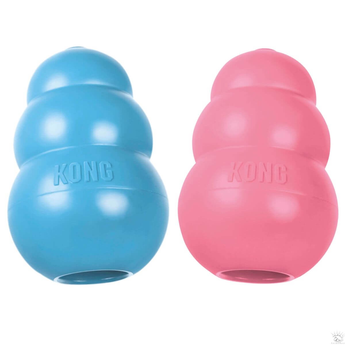 Kong Puppy